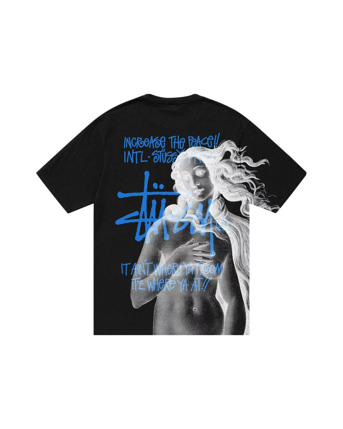 Stussy Pigment Dyed Venus Tee Black