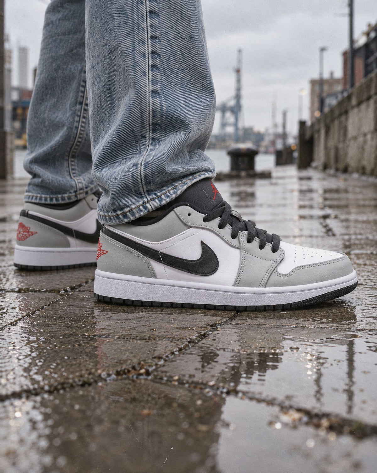 Jordan 1 Low Light Smoke Grey - on-foot