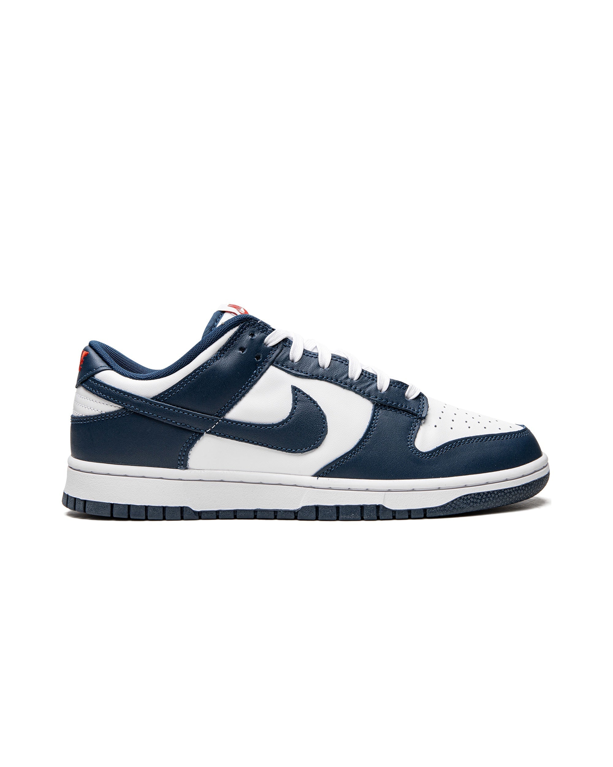 Nike Dunk Low Valerian Blue
