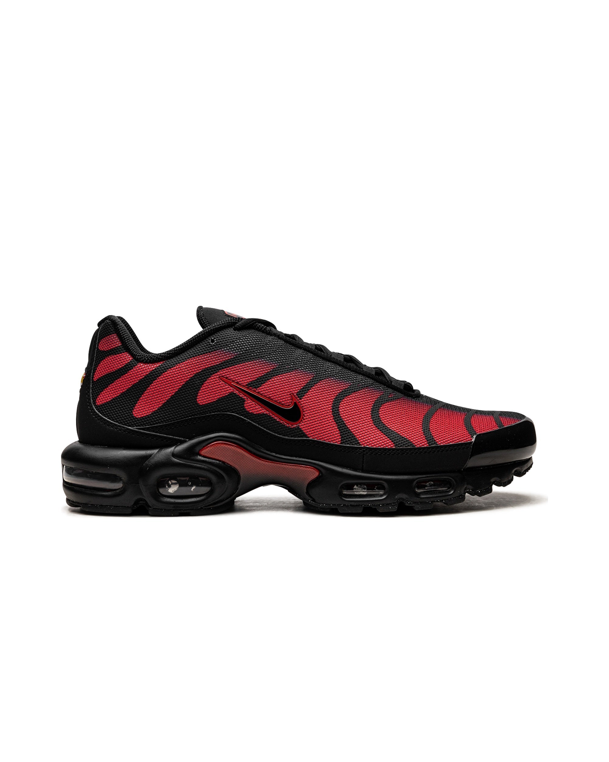 Nike Air Max Plus Bred Reflective