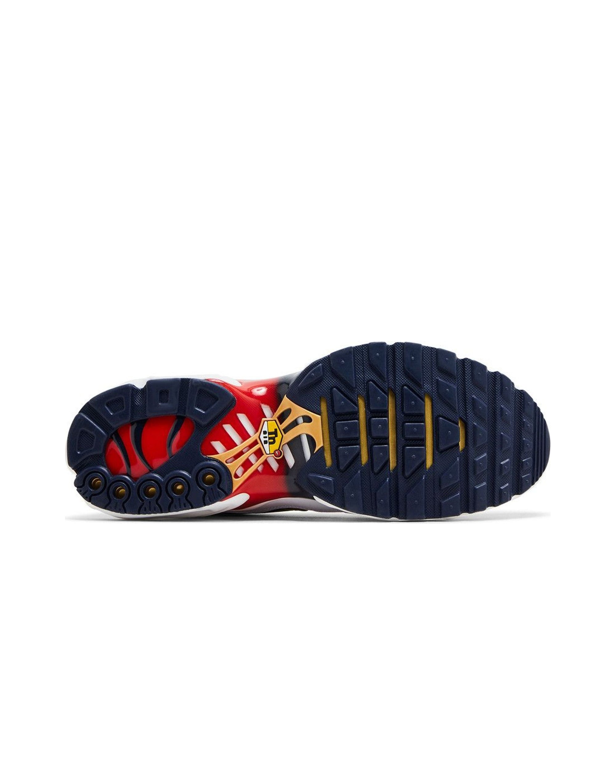 Nike Air Max Plus PSG