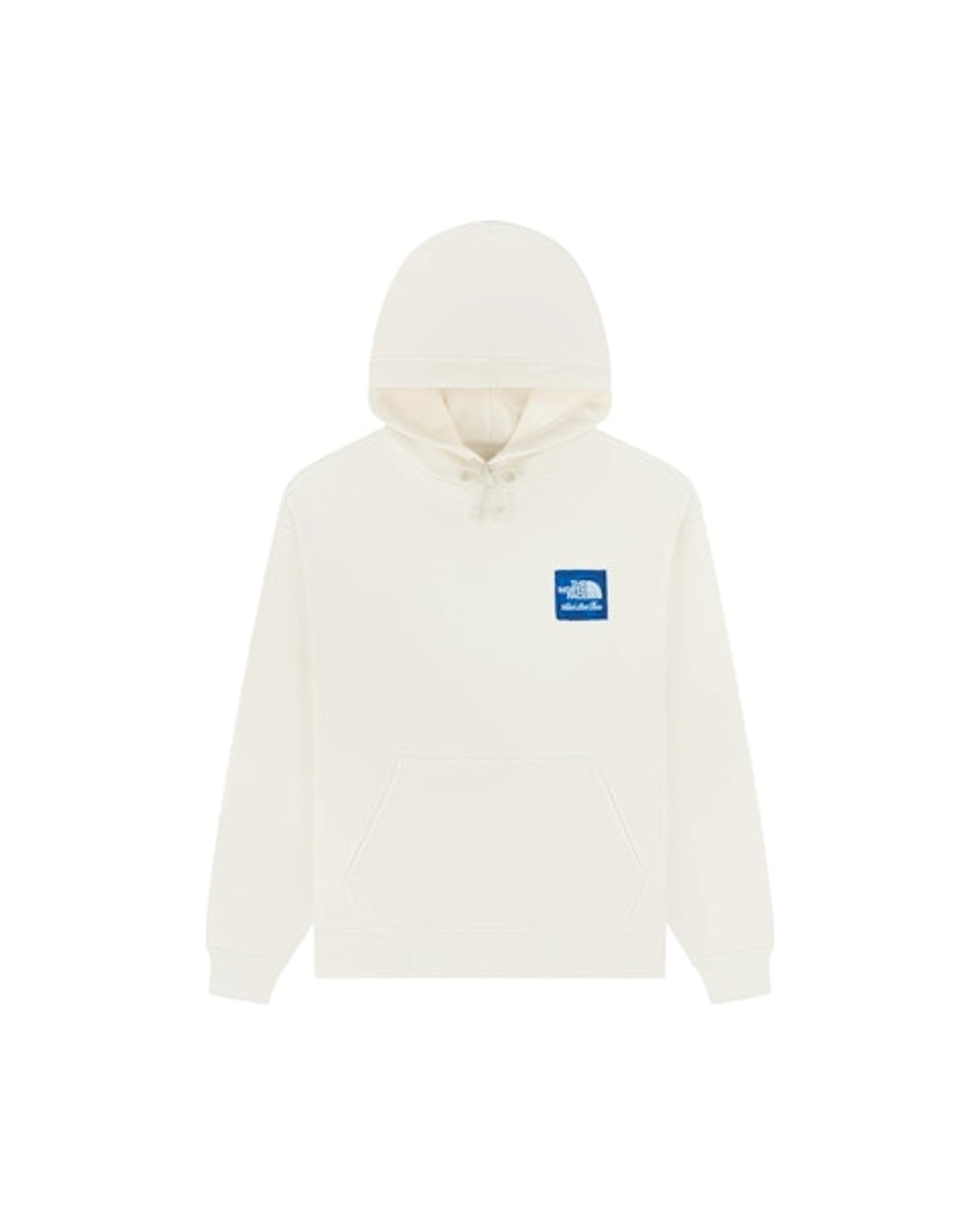 Aime Leon Dore x The North Face Logo Hoodie Pristine