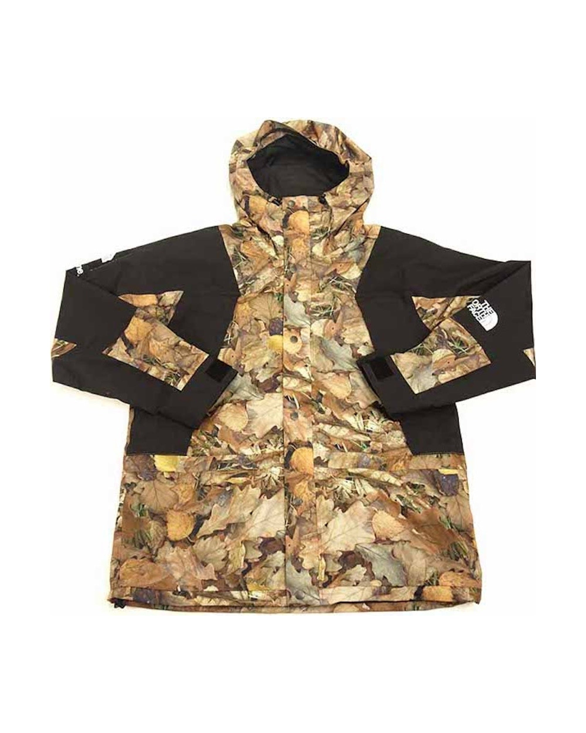 Supreme The North Face Mountain Light Jacket Leaves