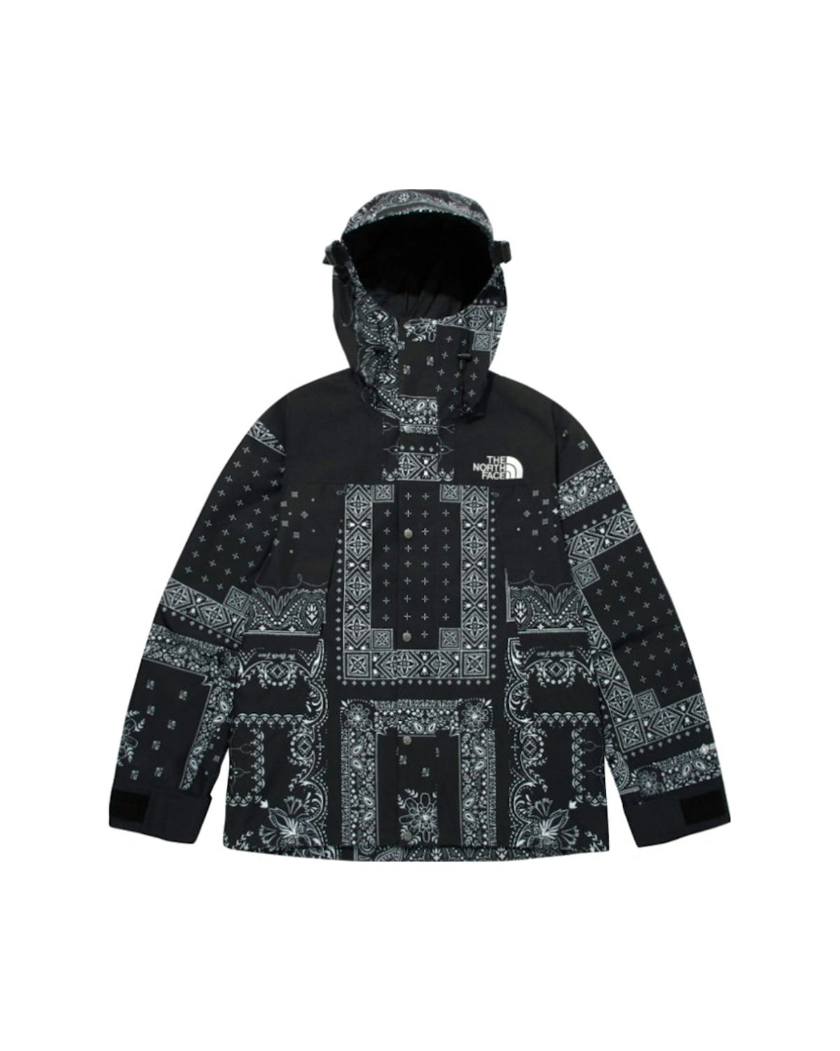The North Face Novelty GTX Paisley Mountain Jacket Black