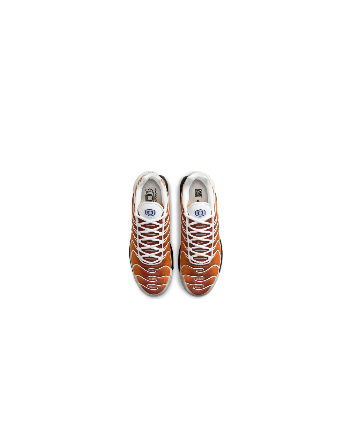 Nike Air Max Plus One Block Down Chutney