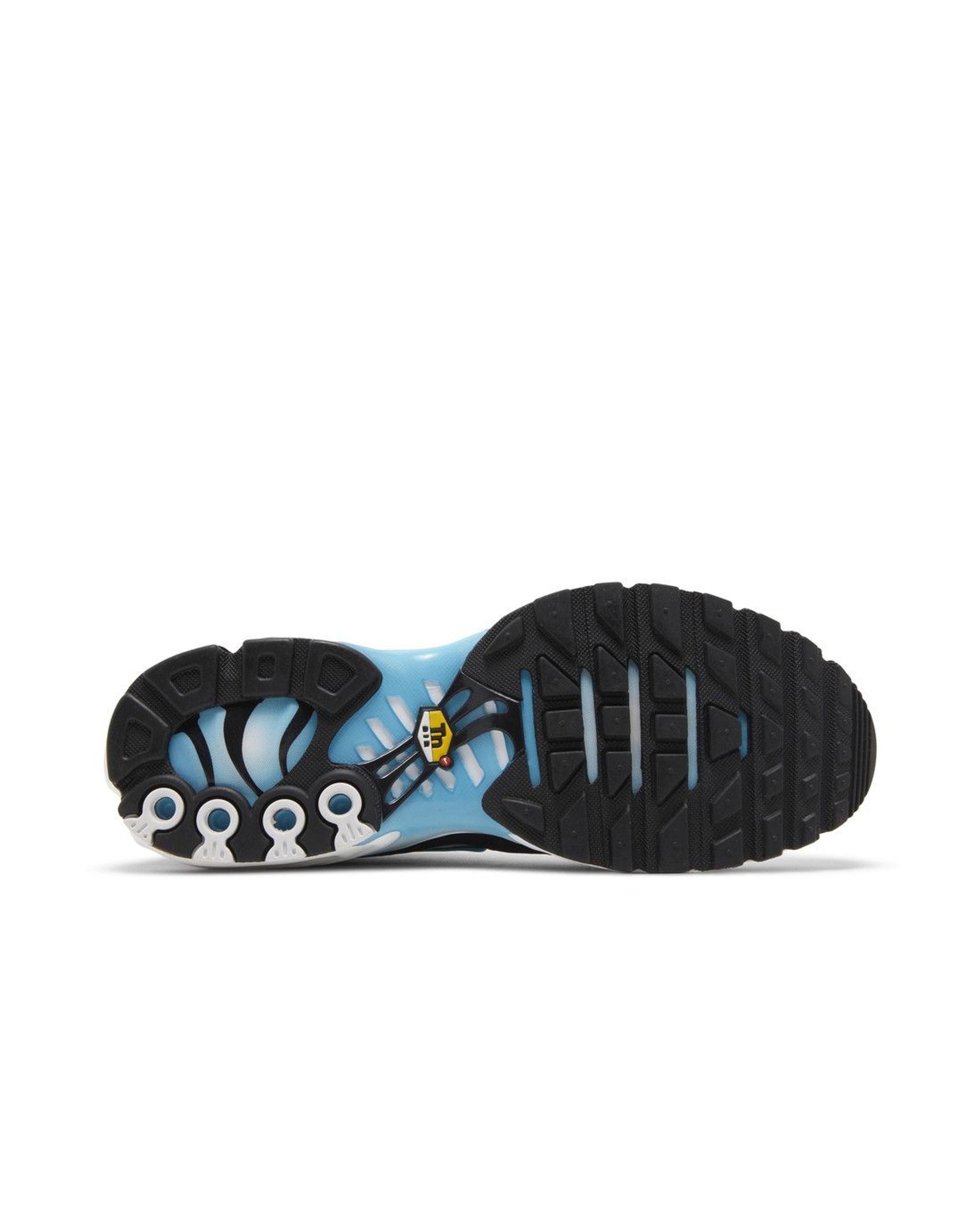 Nike Air Max Plus Baltic Blue