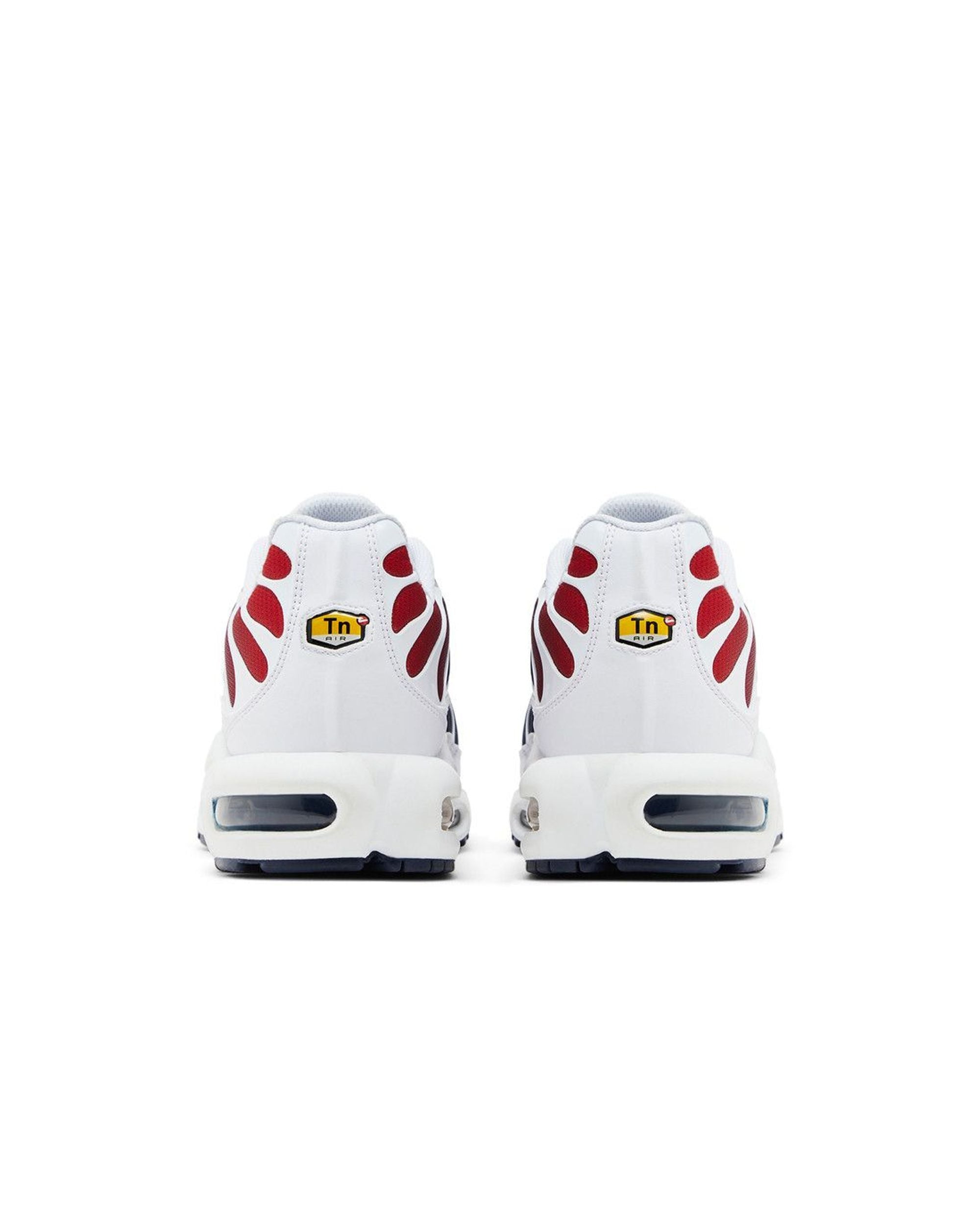 Nike Air Max Plus PSG