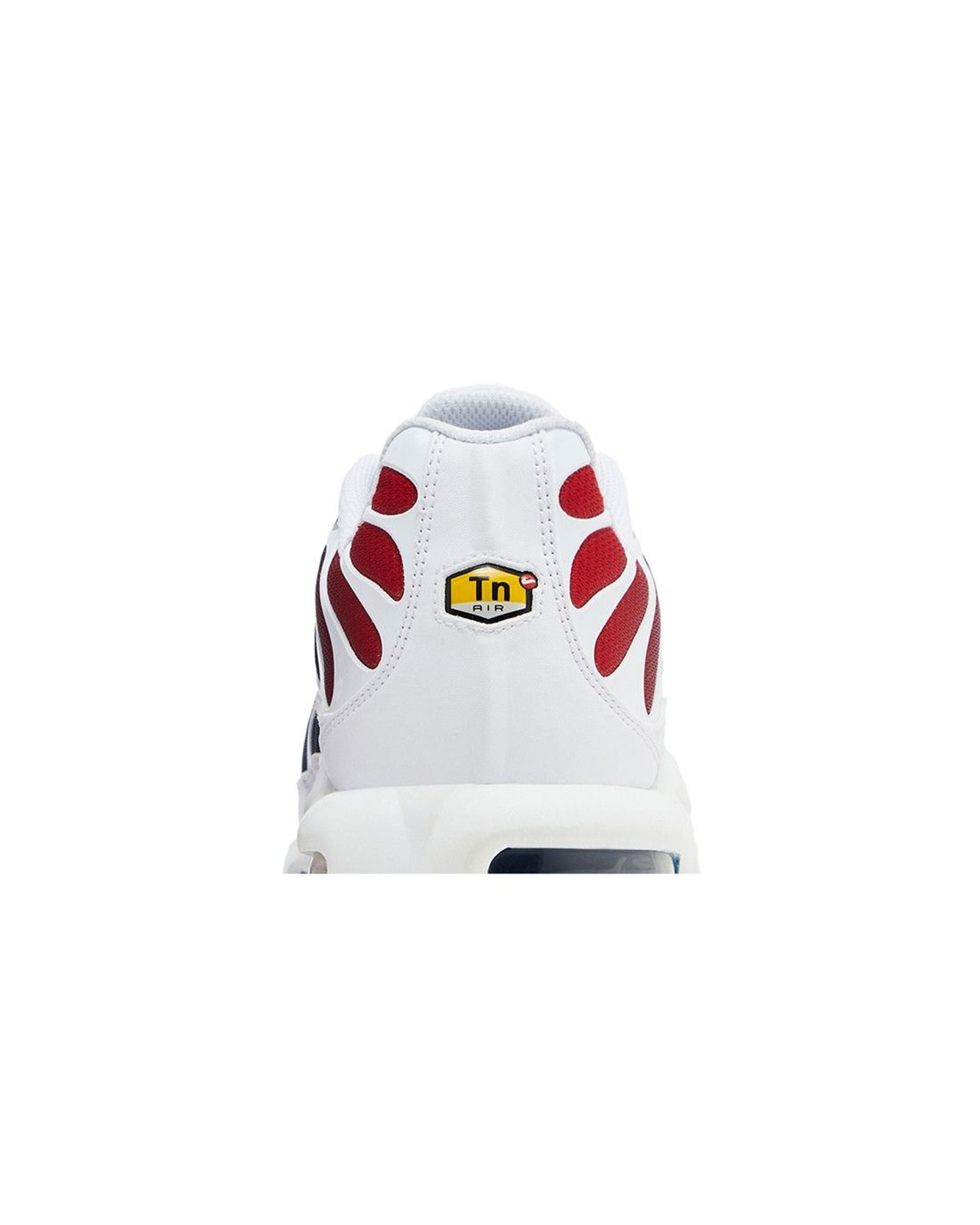 Nike Air Max Plus PSG