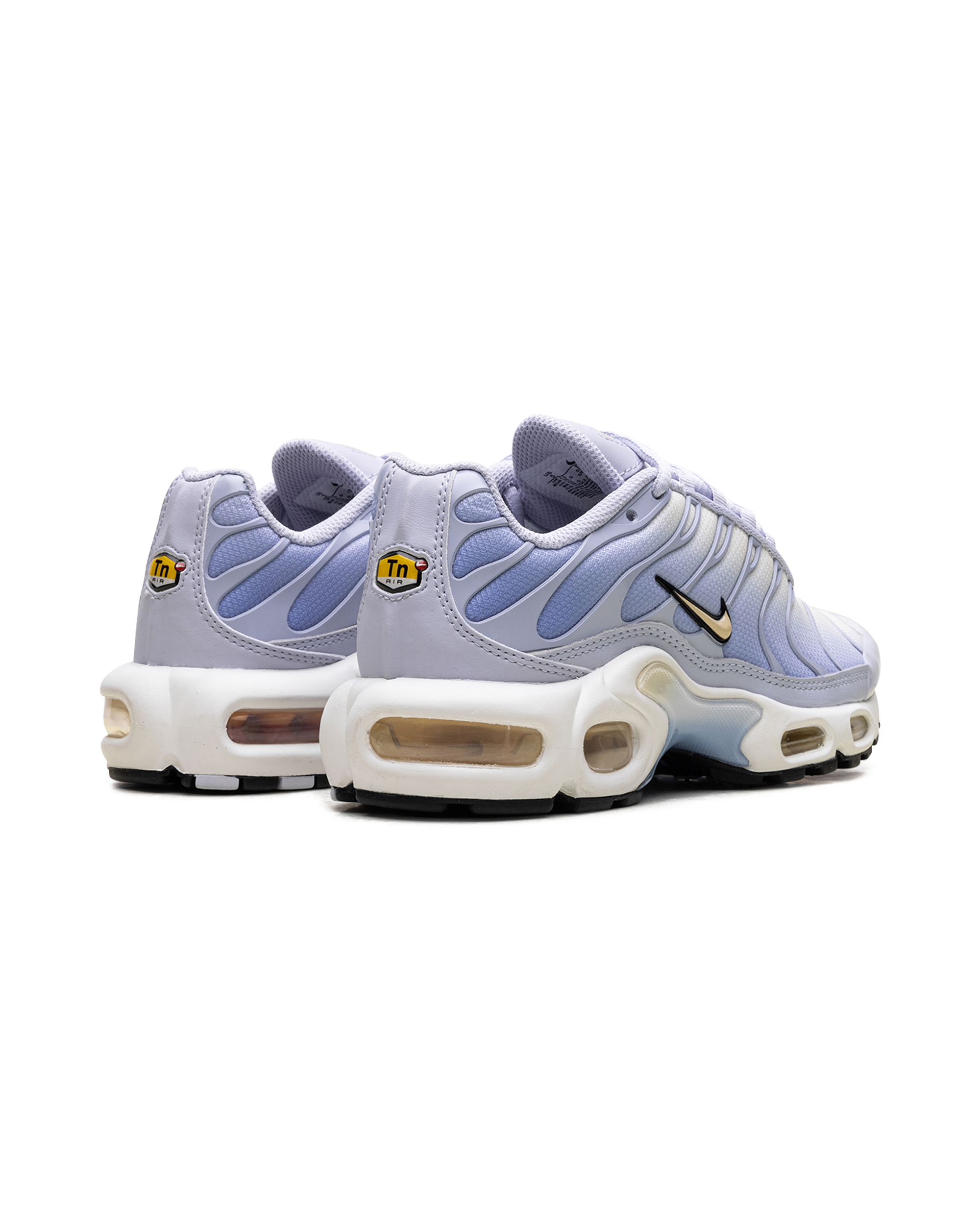 Nike Air Max Plus Daybreak (Women's)