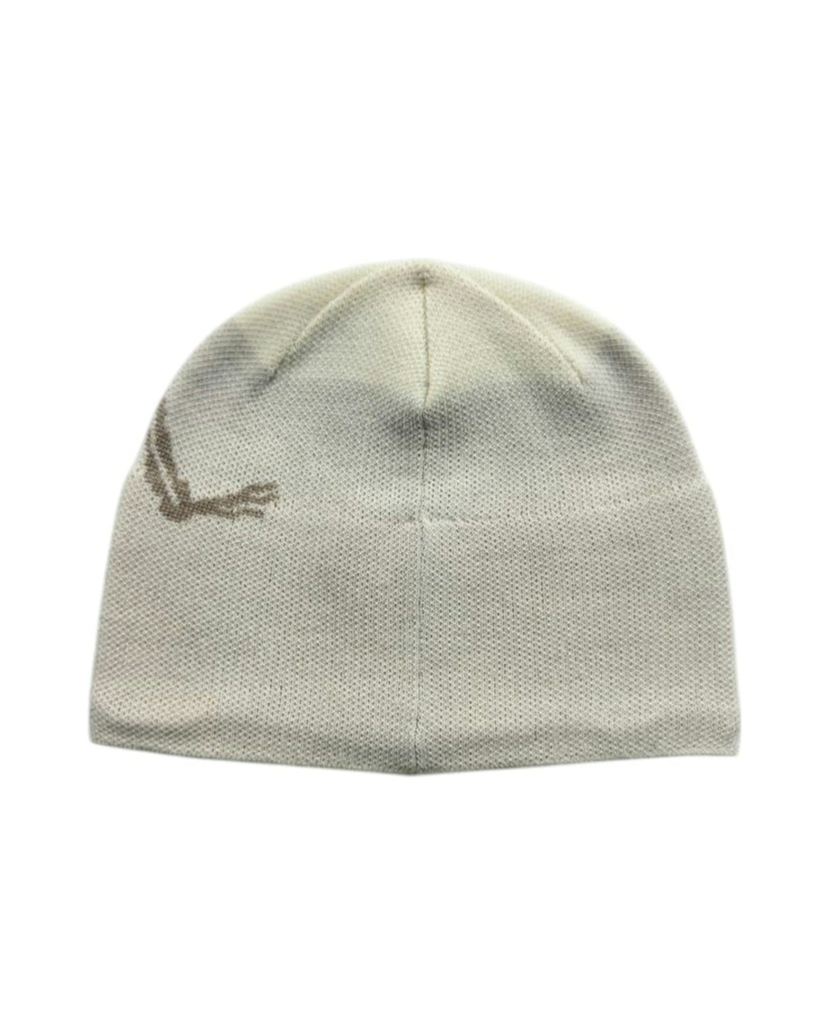 Arc'teryx Bird Head Toque Beanie Arctic Silk/Rune