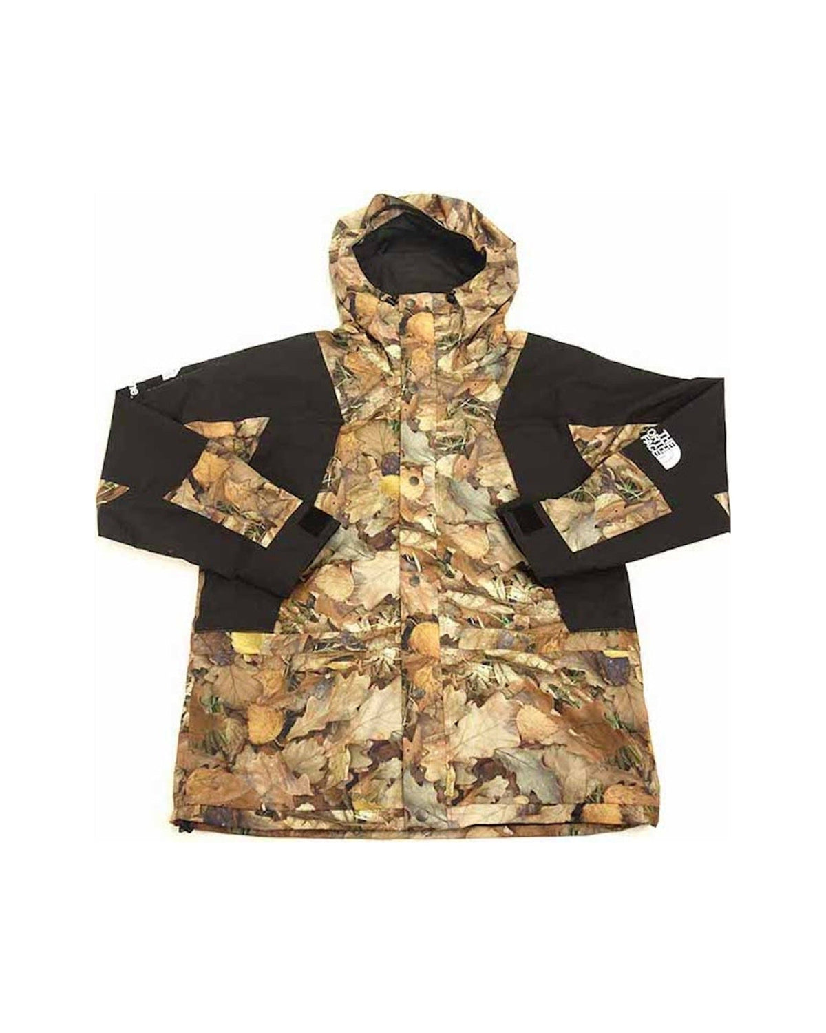 Supreme The North Face Mountain Light Jacket Leaves
