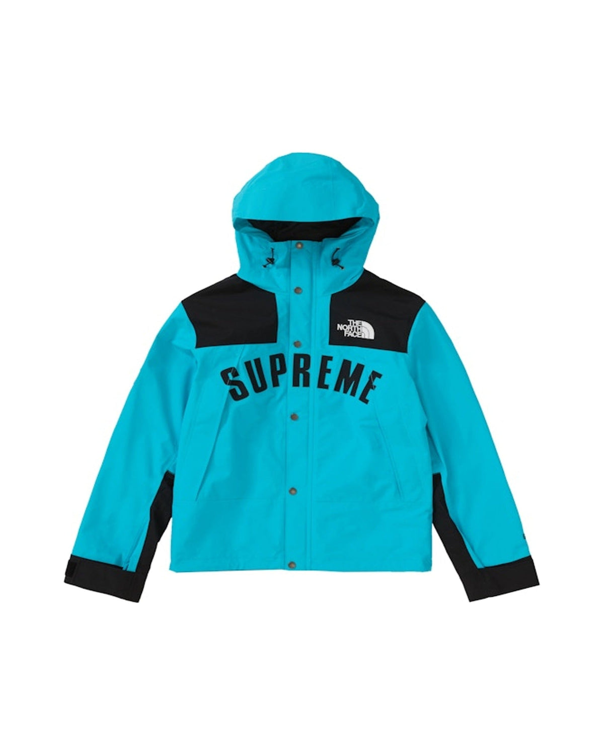 Supreme The North Face Arc Logo Mountain Jacket Teal