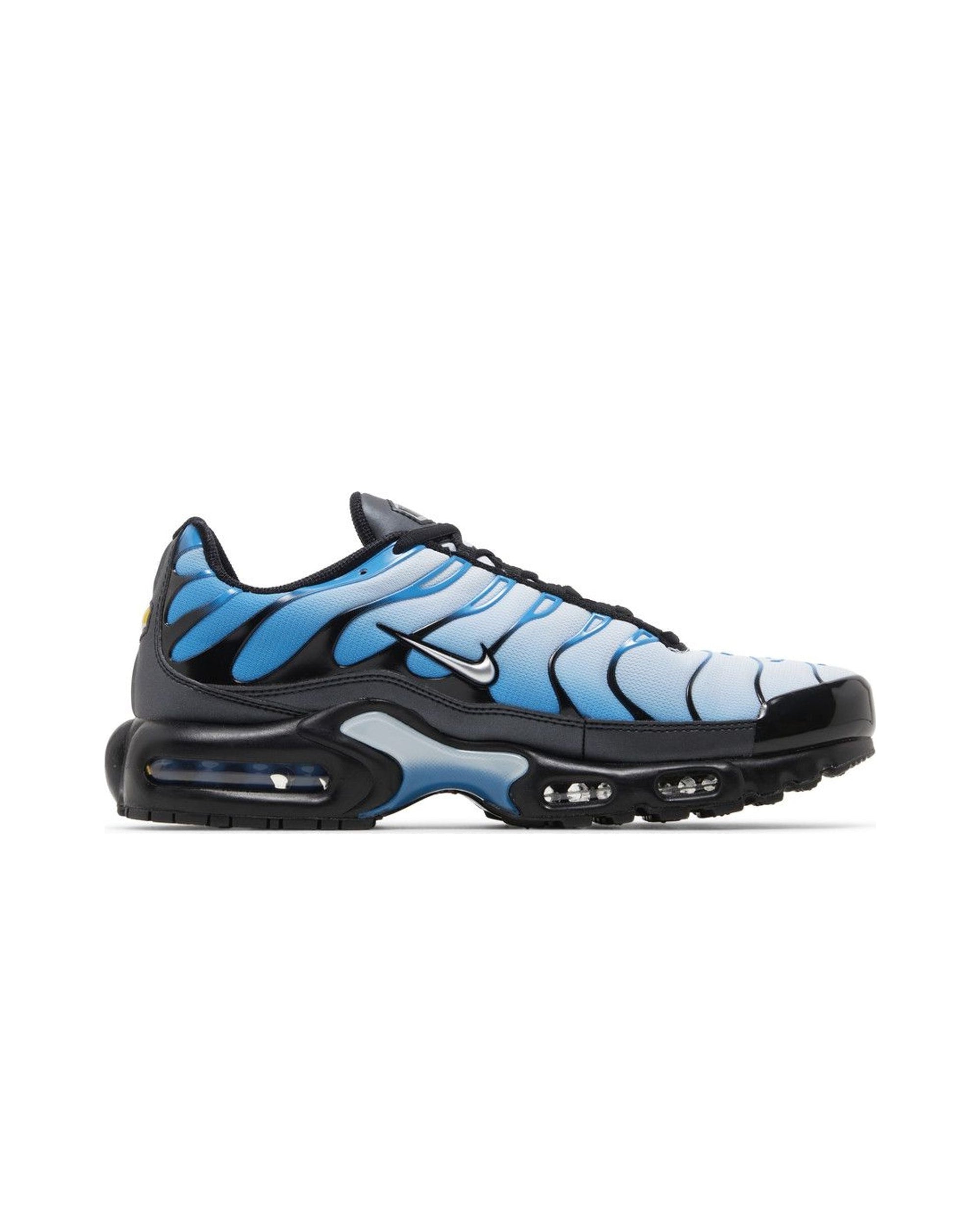 Nike Air Max Plus Blue Gradient