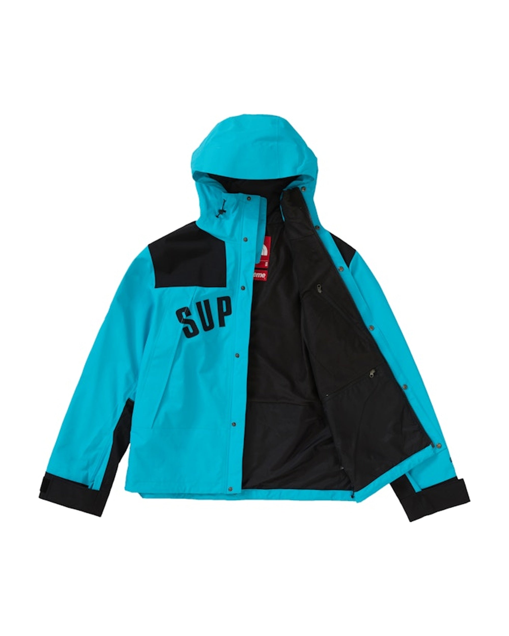 Supreme The North Face Arc Logo Mountain Parka Teal