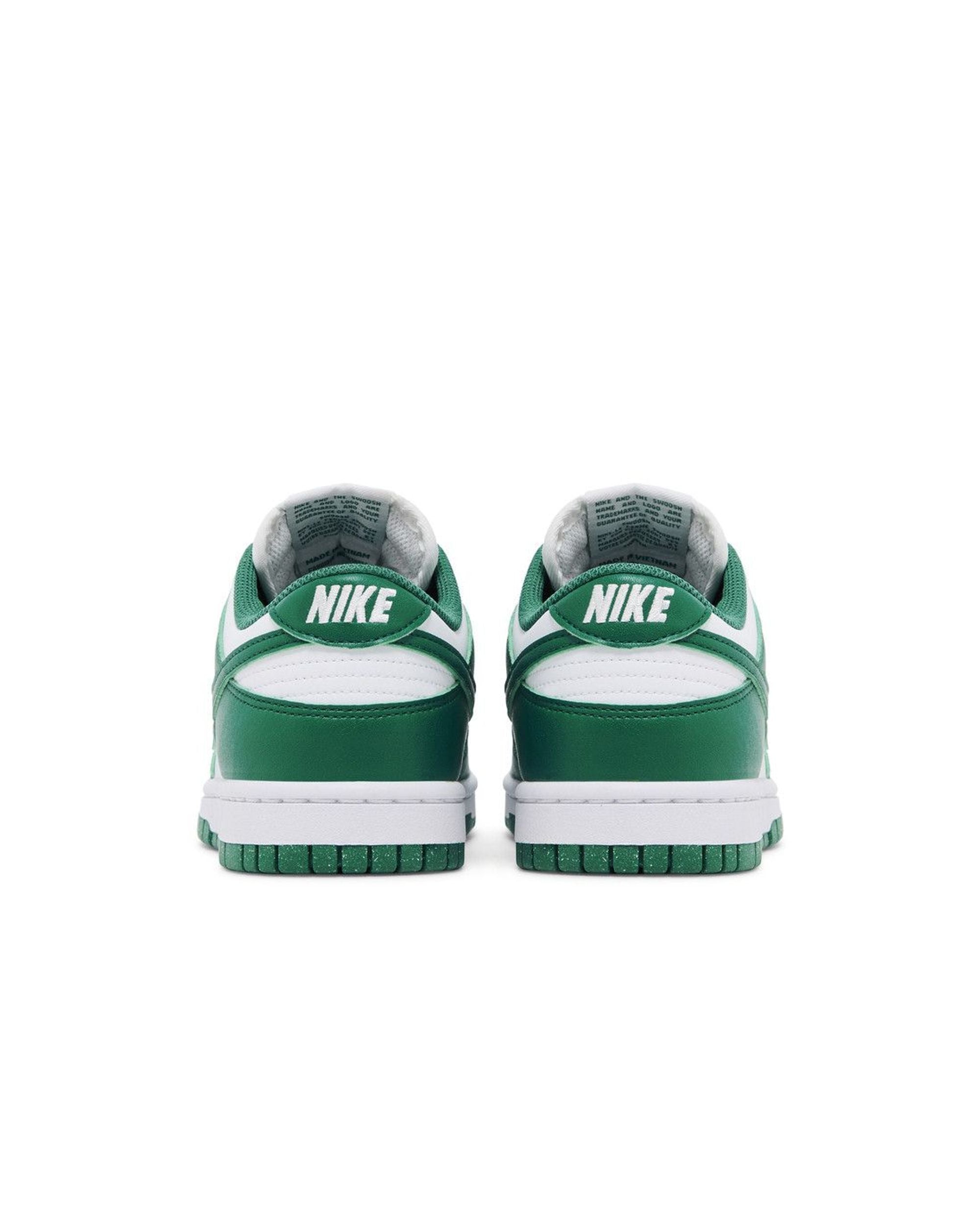 Nike Dunk Low Next Nature Bicoastal (Women's)
